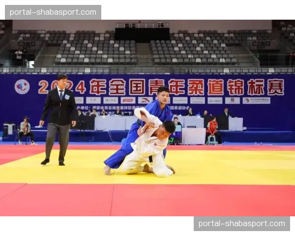 柔道产业报告:2025年全球柔道道服与装备市场规模增长12%